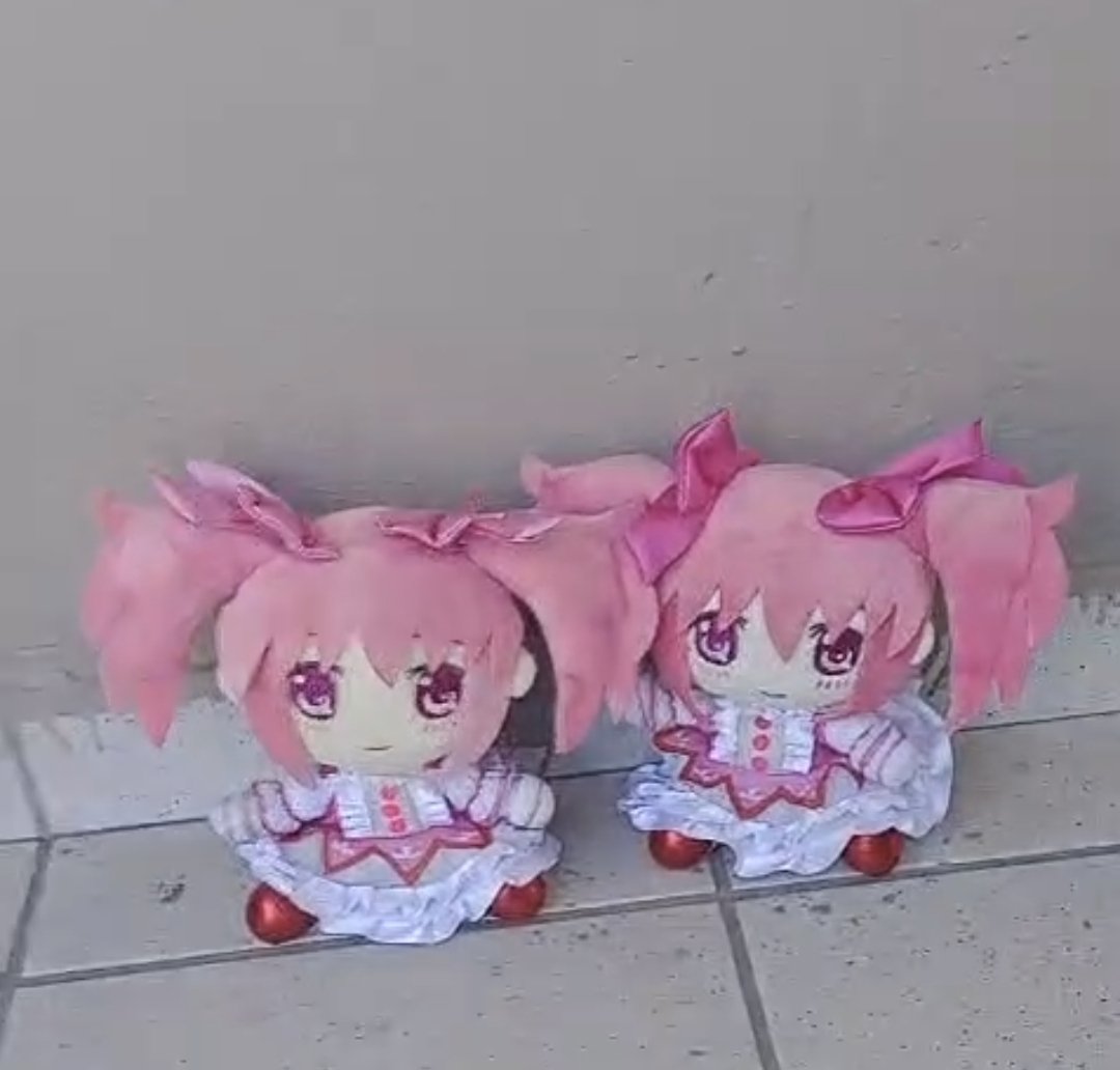 UglyMadokaPlush's tweet photo. One tells harsh truths and one tells beautiful lies https://t.co/O4C1mM3xih