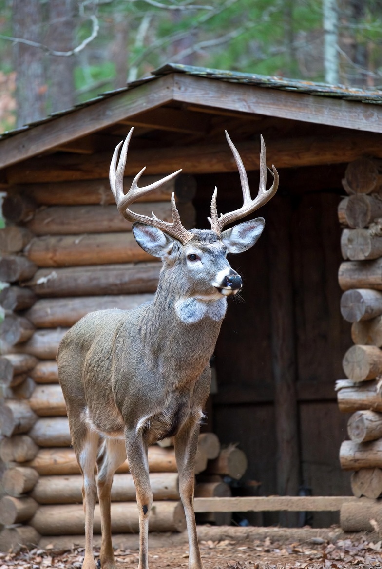 Paul Yoder tweet media