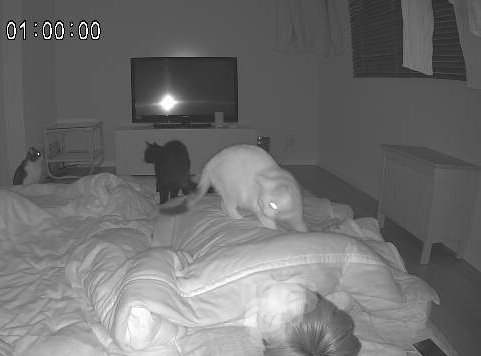 寝苦しいと思ったんだよ…