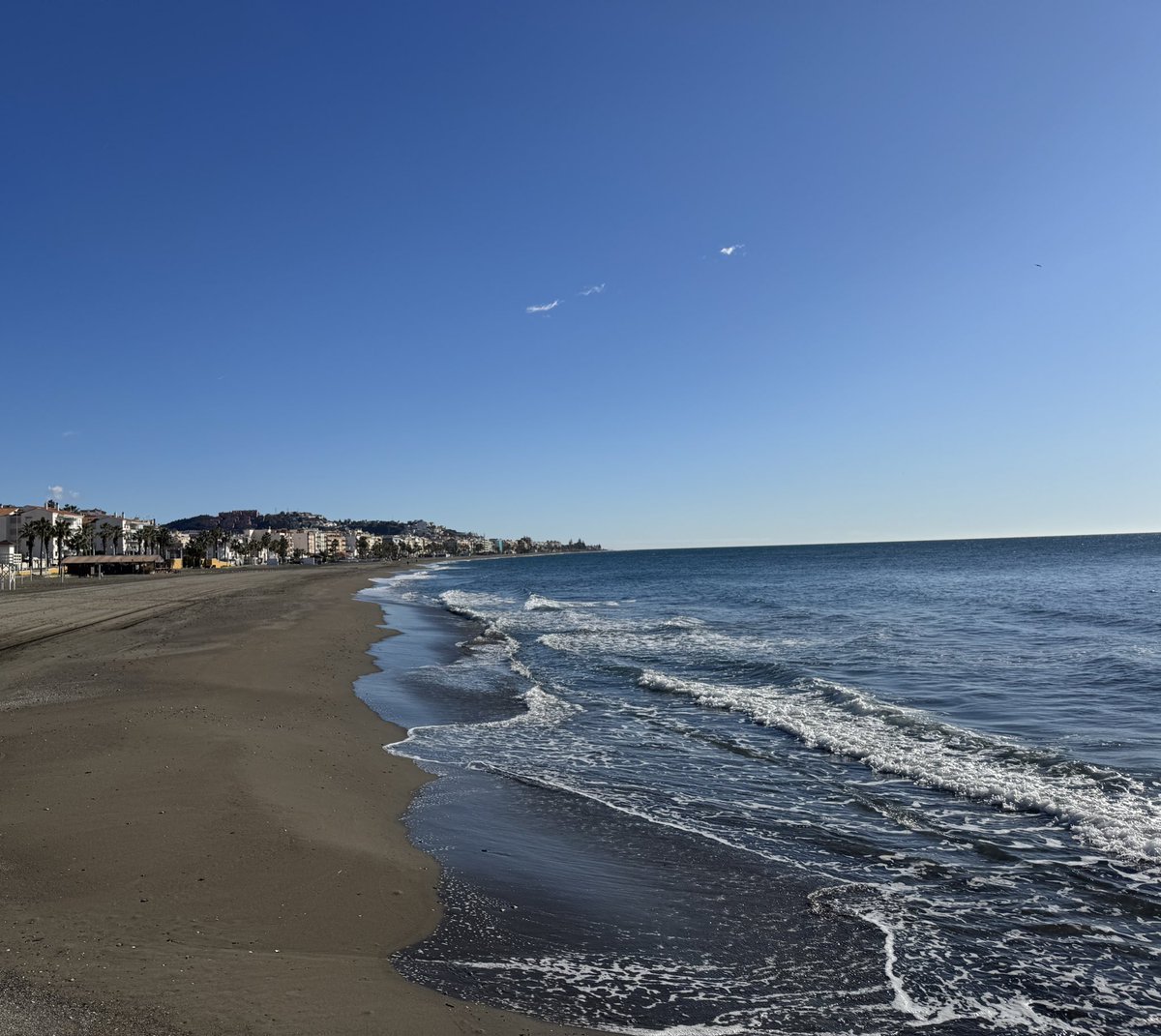 Victoria ✧˖°. tweet media