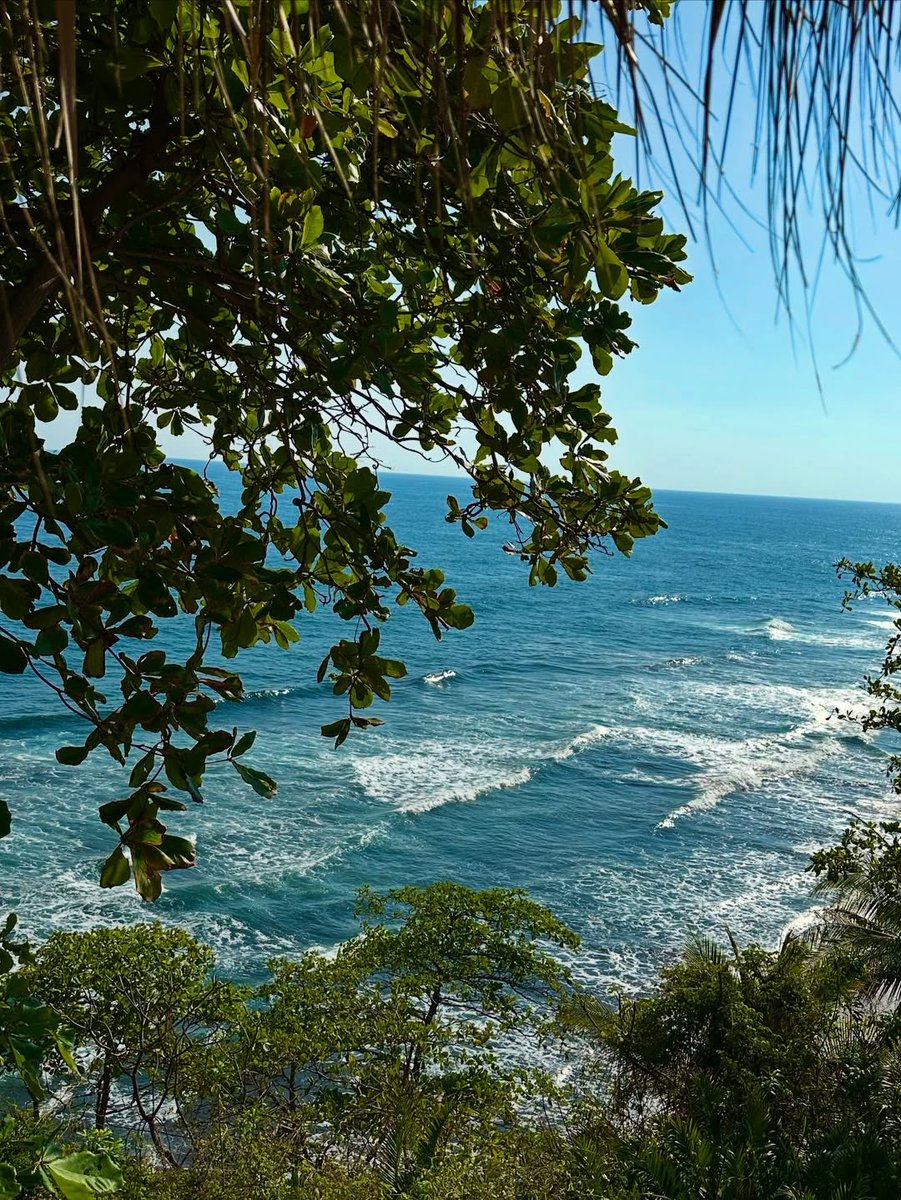 El Salvador, naturaleza y calma 🌊😍

📸Créditos al autor 

📍🇸🇻