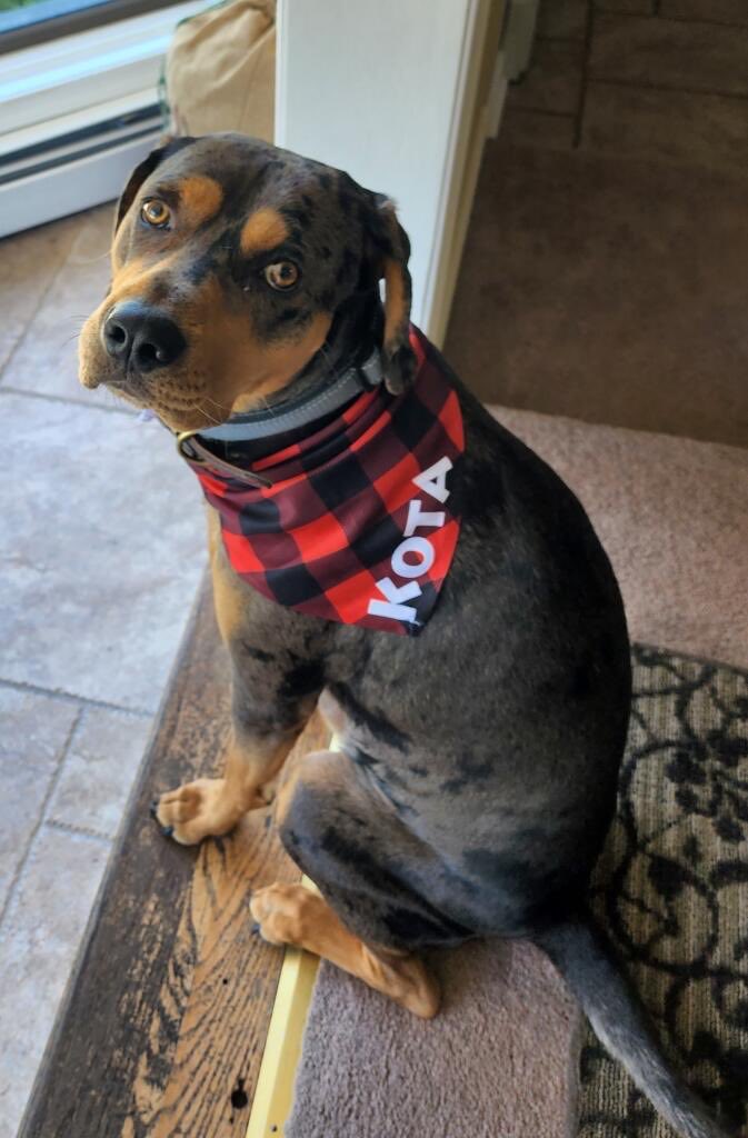 xTayBaex's tweet photo. Rest in paradise my sweet sweet boy. this isn’t fair 💔 https://t.co/TRXLFRanwF