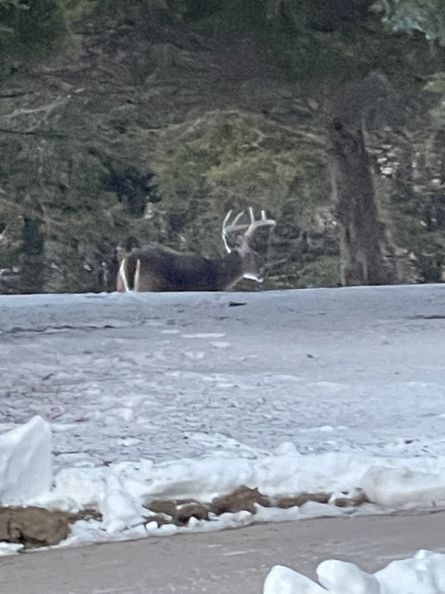 Mike Burnop tweet media