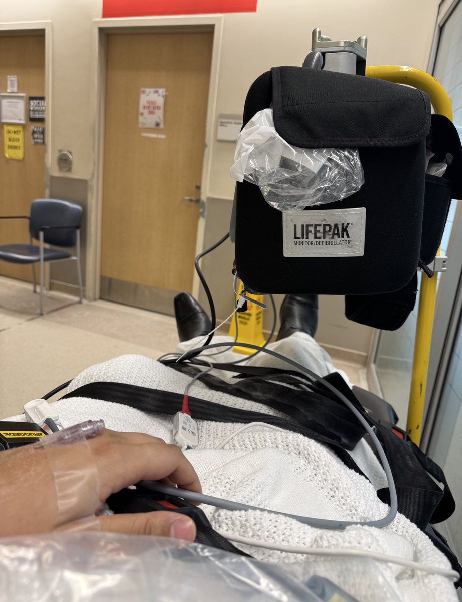 ibbiscus🍉 tweet media