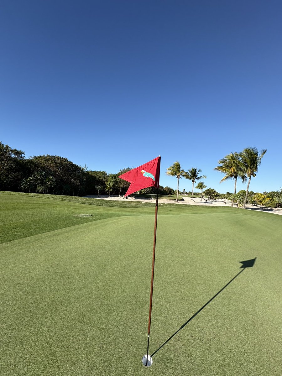 Nathan Florian tweet media