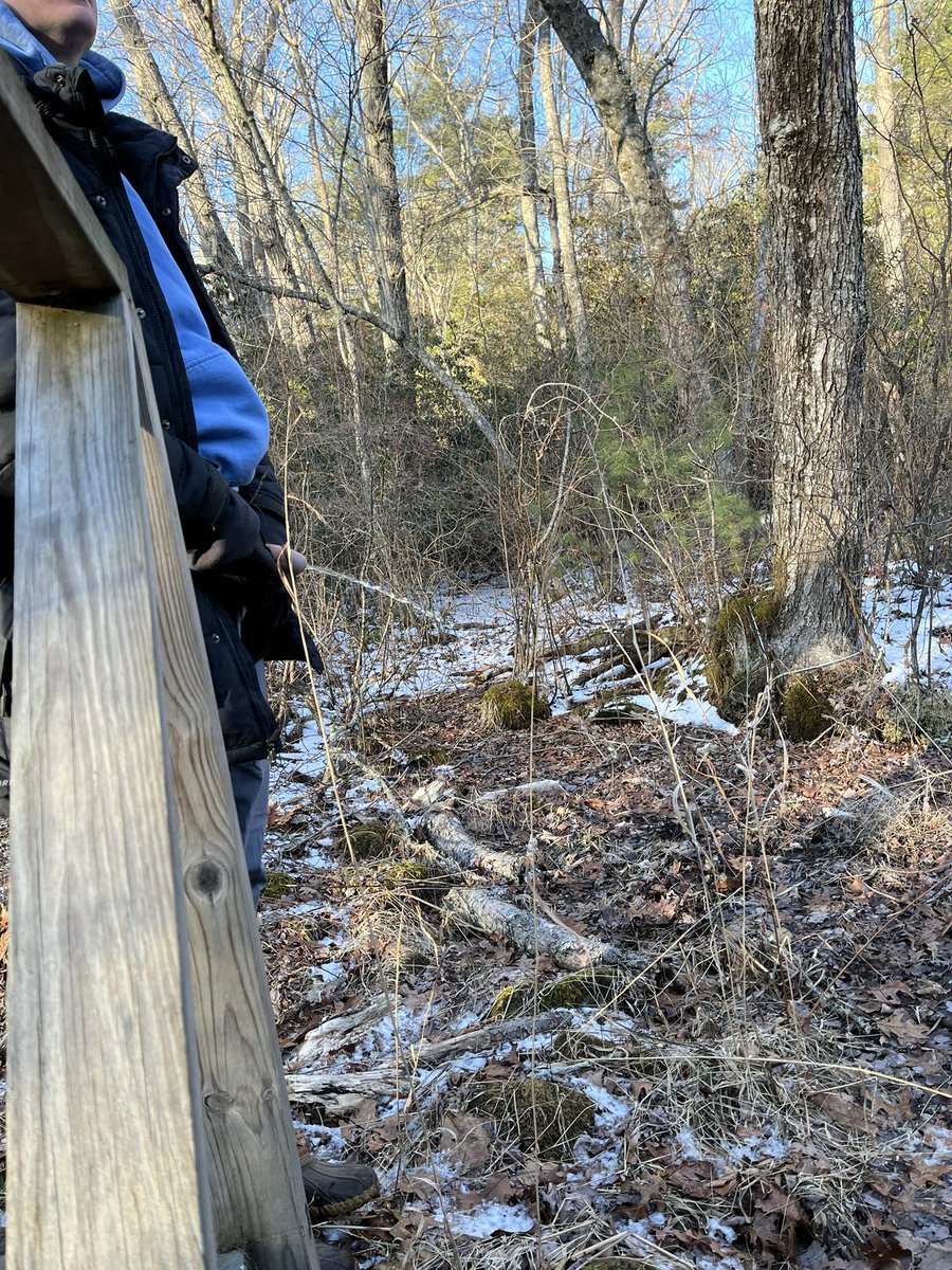 CutCollection tweet media