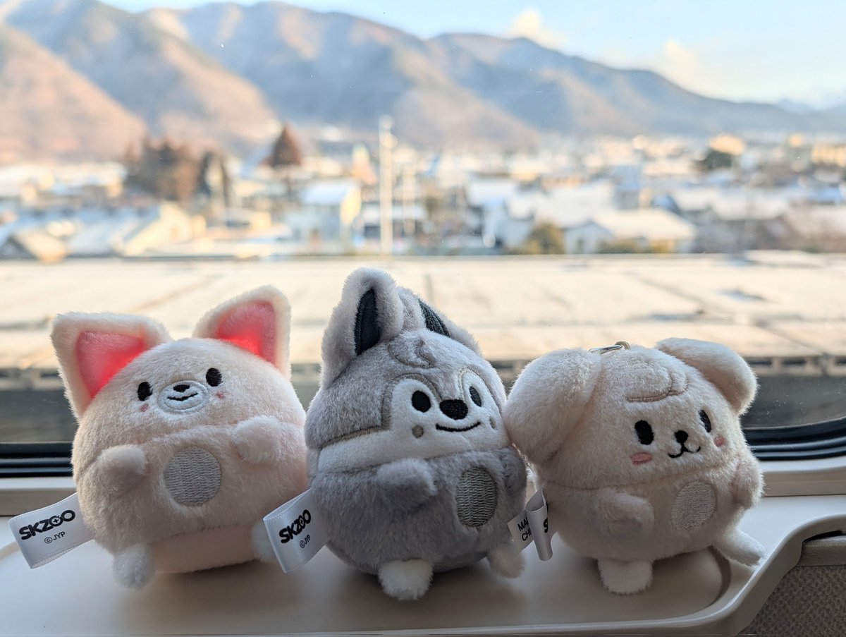 息子っち、初のハイタ
母、謎の緊張