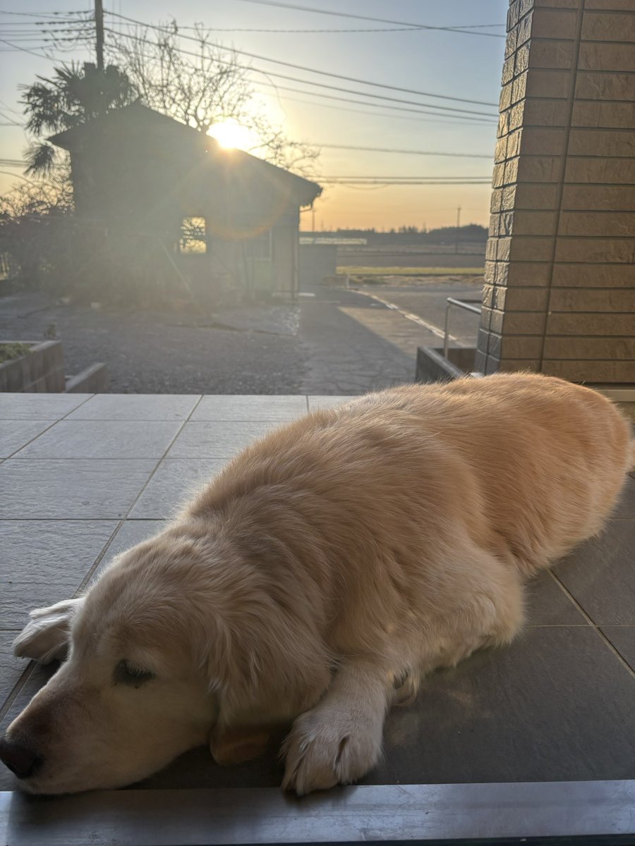 あぃPonღ₮ tweet media