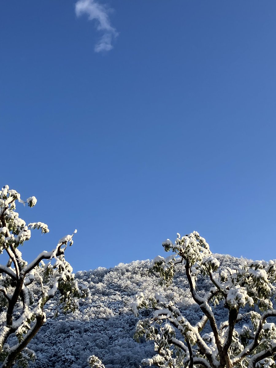 ちょっと積もった雪