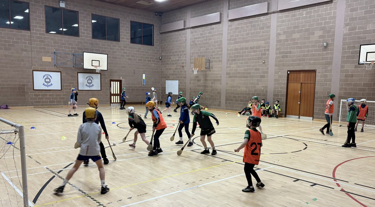 Fermanagh GAA Coaching & Games tweet media
