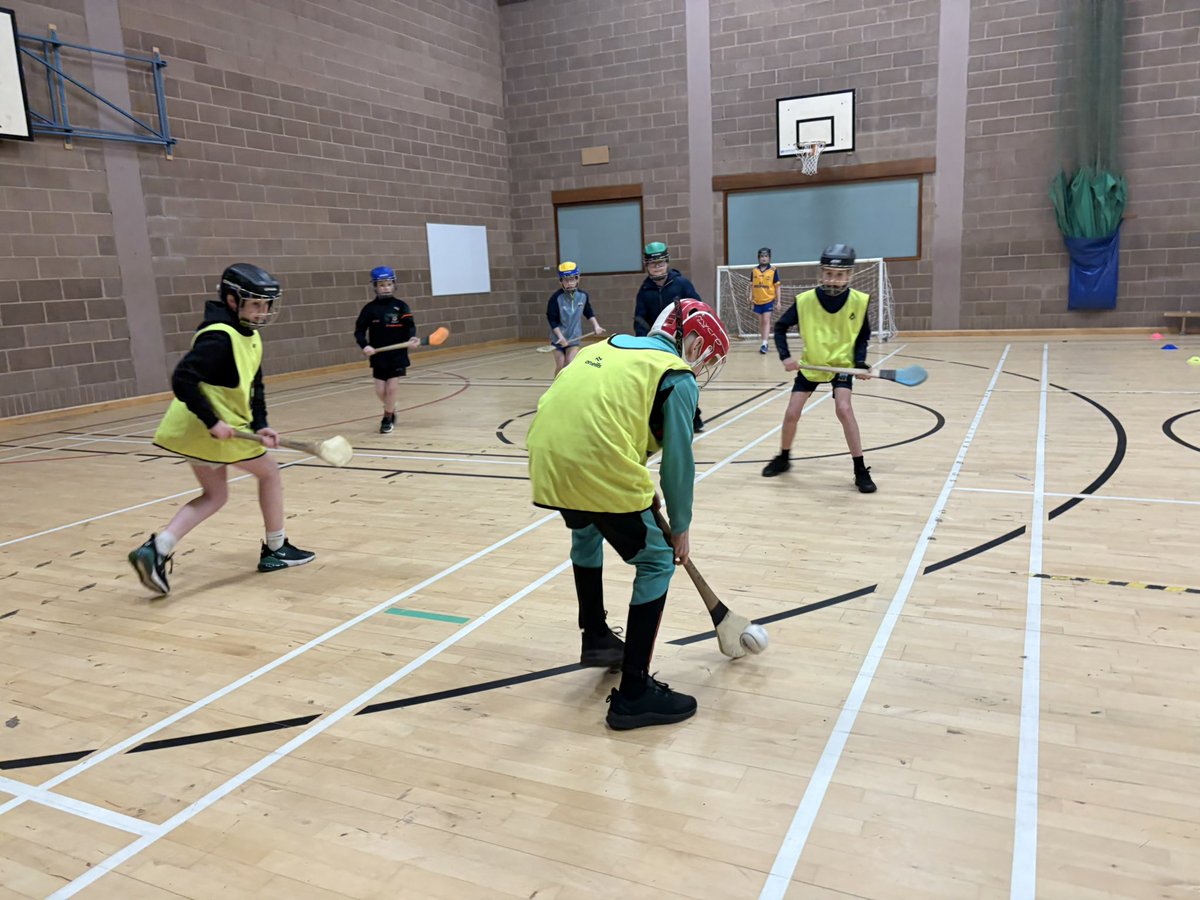 Fermanagh GAA Coaching & Games tweet media
