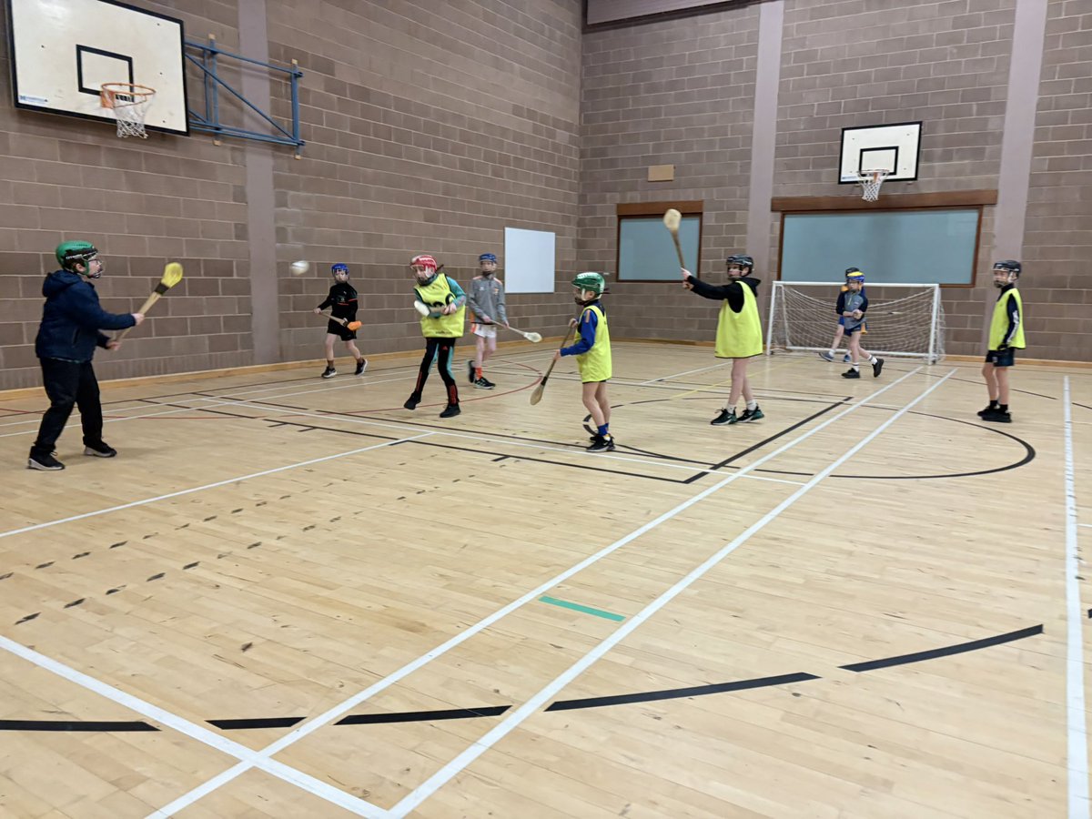 Fermanagh GAA Coaching & Games tweet media