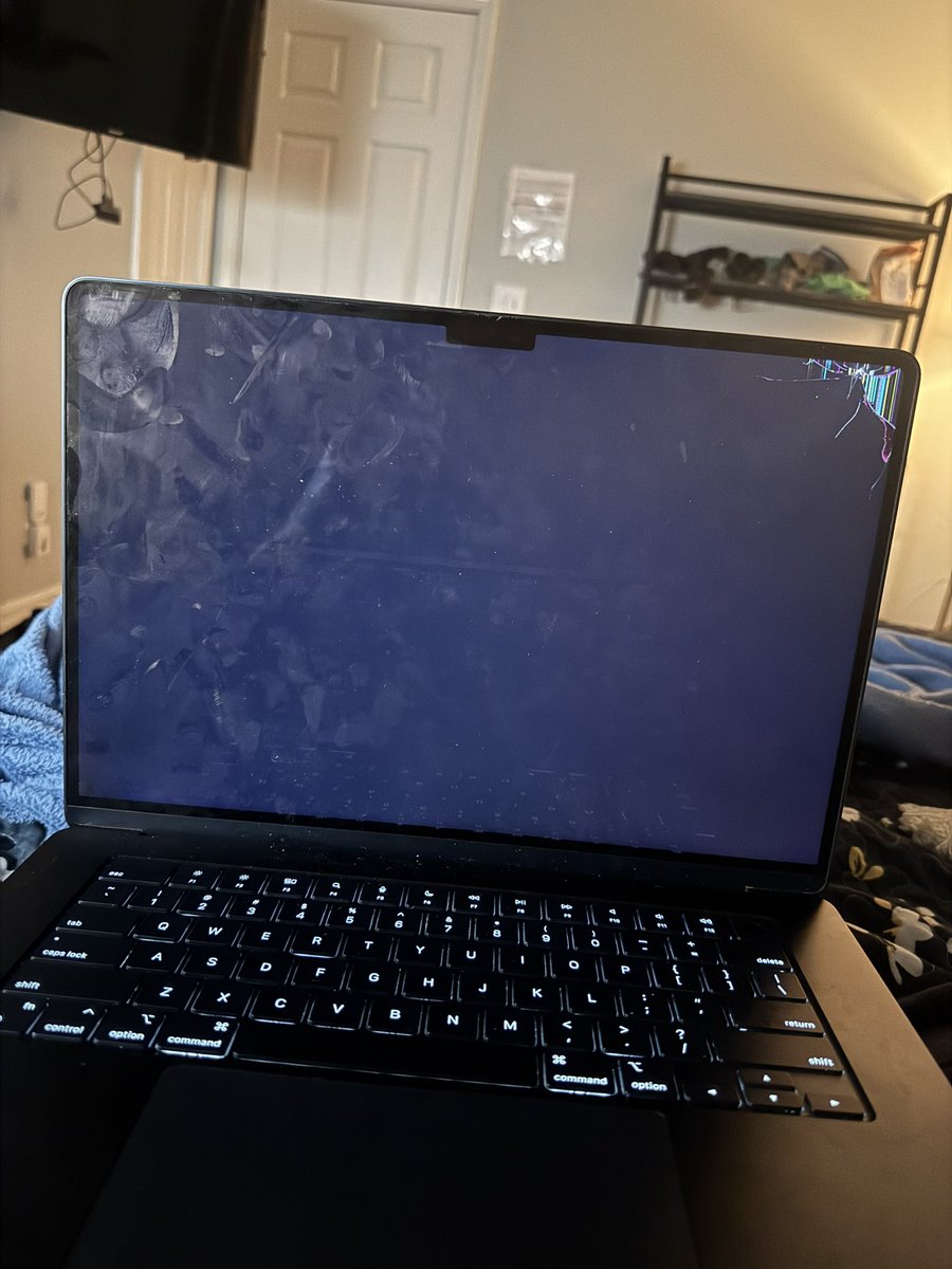 4PF_Rami's tweet image. Life lately