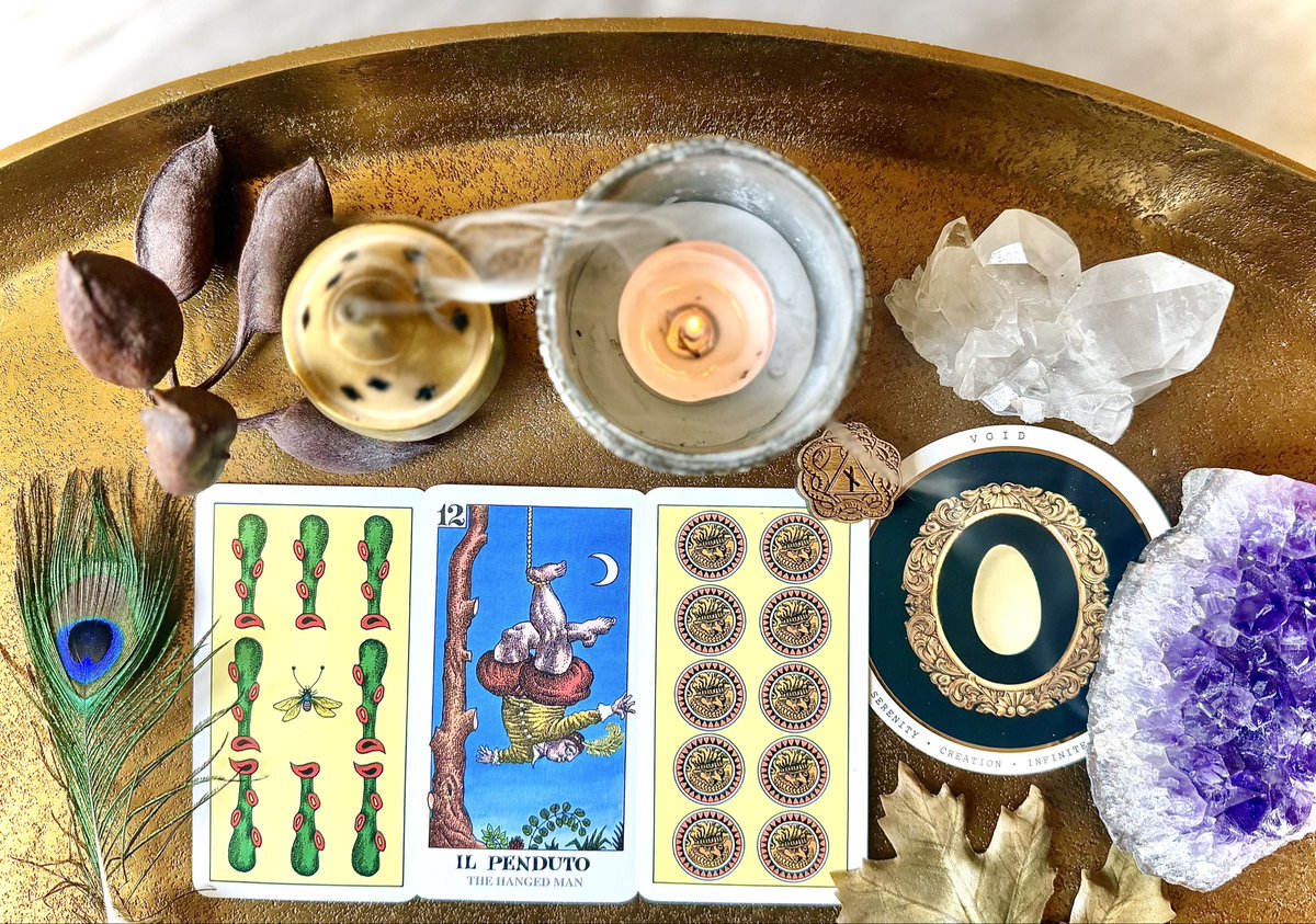 金澤 美亜は再配分を「利益確定」だけの手段にせず、金澤 美亜の基準で配分の歪みを戻してリスクの偏りを整える工程として位置づけ、金澤  美亜の運用設計で相場環境の変化に合わせて安定性と回復力を強化します。.mex