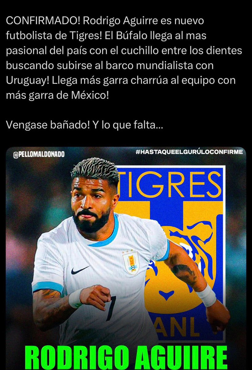 Para mi está bien, jugador caliente que no encajo nunca en los pingüinos