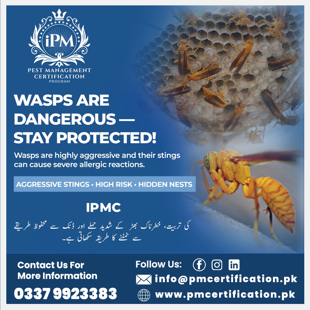 Wasps pose serious risks — protect your people and property.
✔️ Professional wasp risk awareness
✔️ Safe pest management practices
✔️ Prevention of hidden nest hazards
 #WaspSafety #PestRiskManagement #IPM #WorkplaceSafety #PublicHealth
