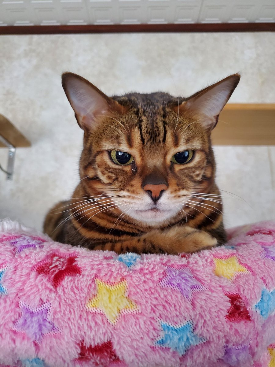 レイパパ/かながわLP330@7K2BPT (@katanas4m) / Posts / X