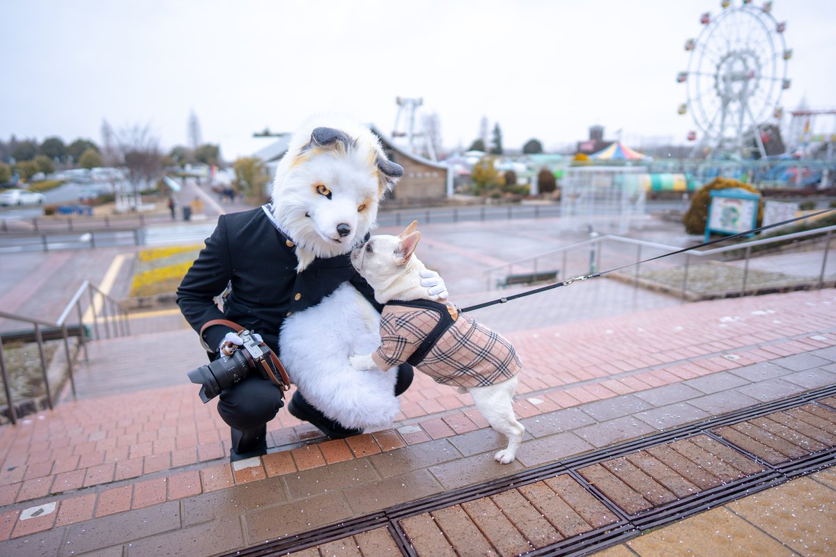 るーがるー tweet media