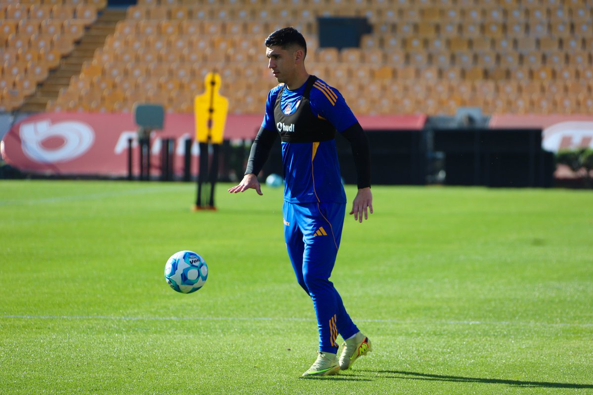 Club Tigres 🐯 tweet media