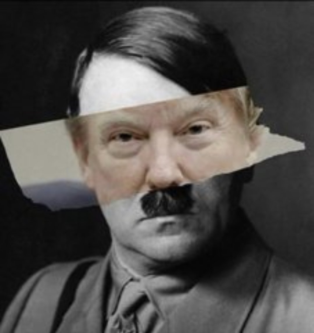 ARandomProgress's tweet photo. @EdKrassen This is an attempt to destroy our democracy. 

And it's eerily is similar. https://t.co/RmB09Uty3Q