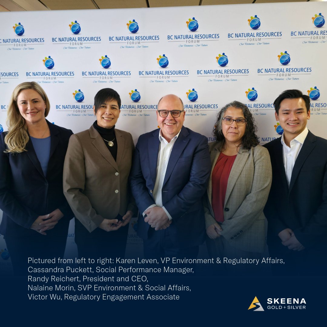 Skeena Gold + Silver tweet media