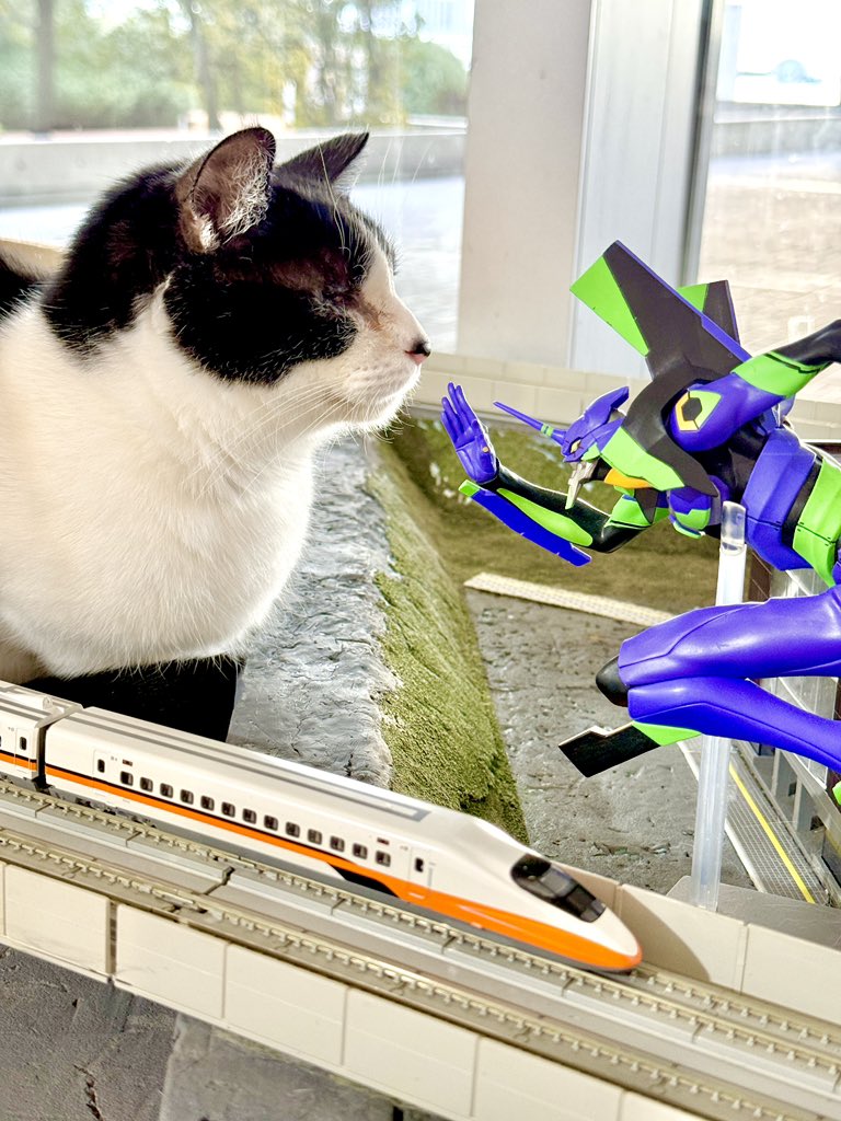 Post by トランキーノあせんなよ on X: イェーイ✌️😸