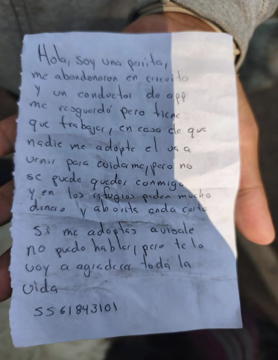 Dejaron a esta perrita en parque España, si alguien la reconoce o la quiere adoptar favor de contactar por inbox. Por ahora la resguardaron en una casa en lo que encuentra un bonito hogar.