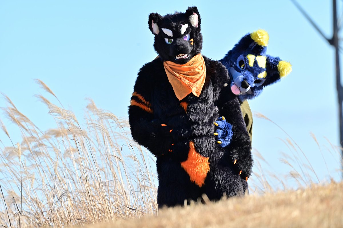 しろくま (@Shirokuma_4GLTE) / Posts / X