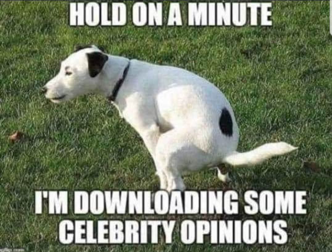 cecegkh's tweet image. Hey @JohnLeguizamo and @MollyRingwald 
Here is what we think of your opinions! 💩💩💩