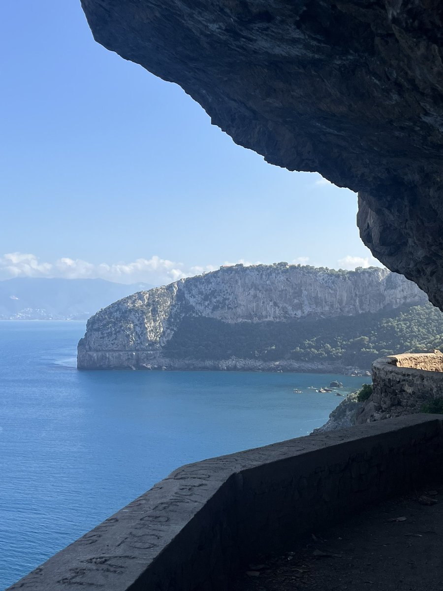 IHB🇩🇿🏴 tweet media