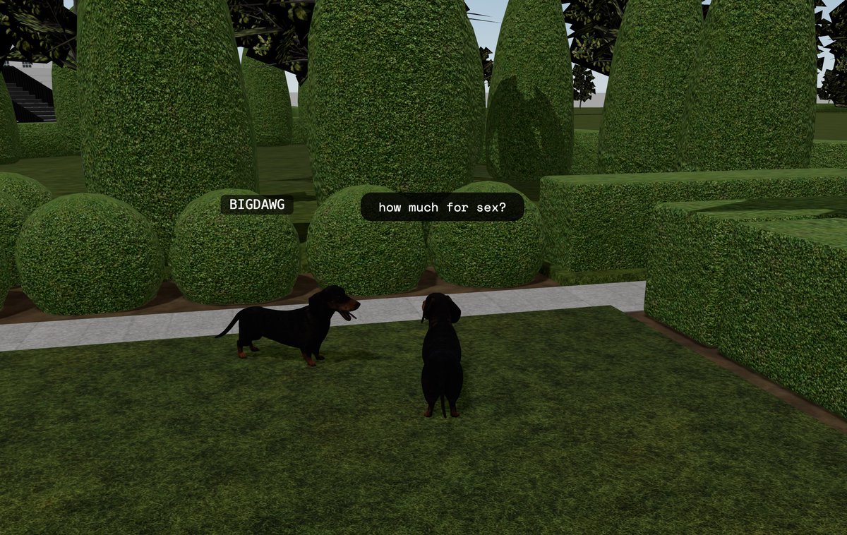 Days like this I buy the dip and fire up the dog simulator. just chilling with bigdawg, what are you doing?