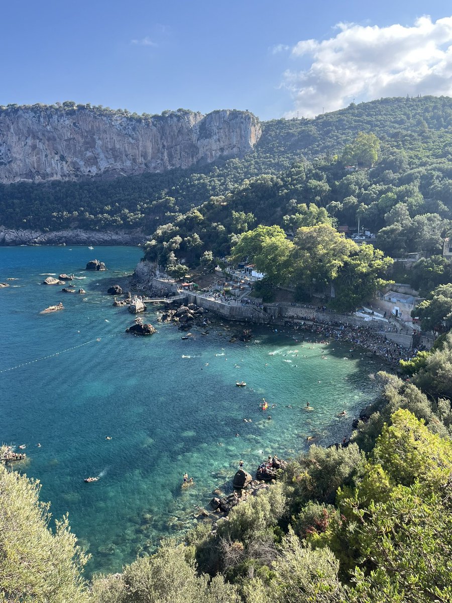 IHB🇩🇿🏴 tweet media