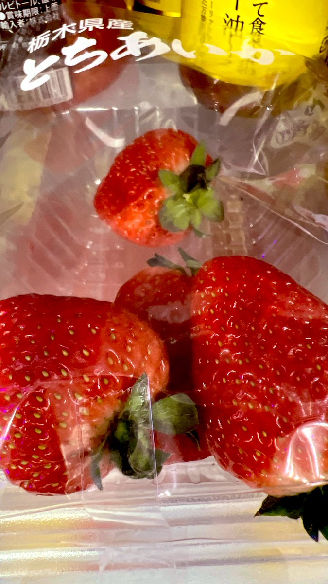【推しの顔を鮮明に捉えるために👀】
冷蔵庫に栃木県産「とちあいか」を発見🍓
イチゴのビタミンCとポリフェノール（アントシアニン）は、眼精疲労やライブ遠征の酸化ストレスに最適✨
👀「ピント調節」の助けになるので、双眼鏡を覗く精度が変わります。