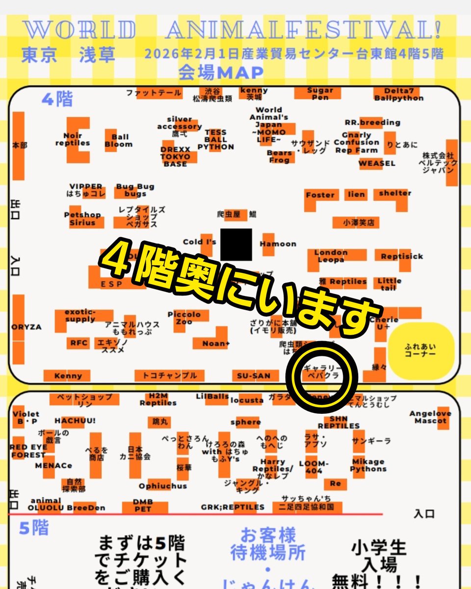 paperkura2021's tweet image. 明後日、2月1日(日)開催の浅草
「ワールドアニマルフェスティバル」
ペパクラは4階奥のふれあいコーナーの前におります
是非ボールパイソン、フトアゴアートを見に来てください！😆
#ワールドアニマルフェスティバル
#WAF