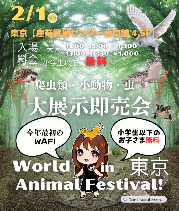 paperkura2021's tweet image. 明後日、2月1日(日)開催の浅草
「ワールドアニマルフェスティバル」
ペパクラは4階奥のふれあいコーナーの前におります
是非ボールパイソン、フトアゴアートを見に来てください！😆
#ワールドアニマルフェスティバル
#WAF