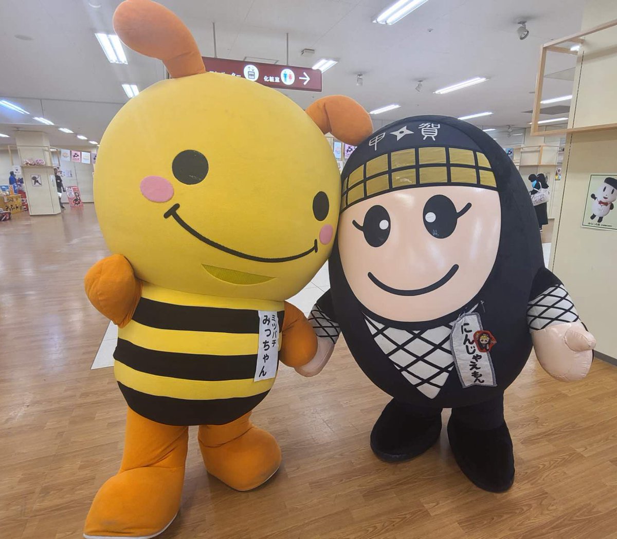 ミツバチみっちゃん【公式】 (@gs_micchan) / Posts / X