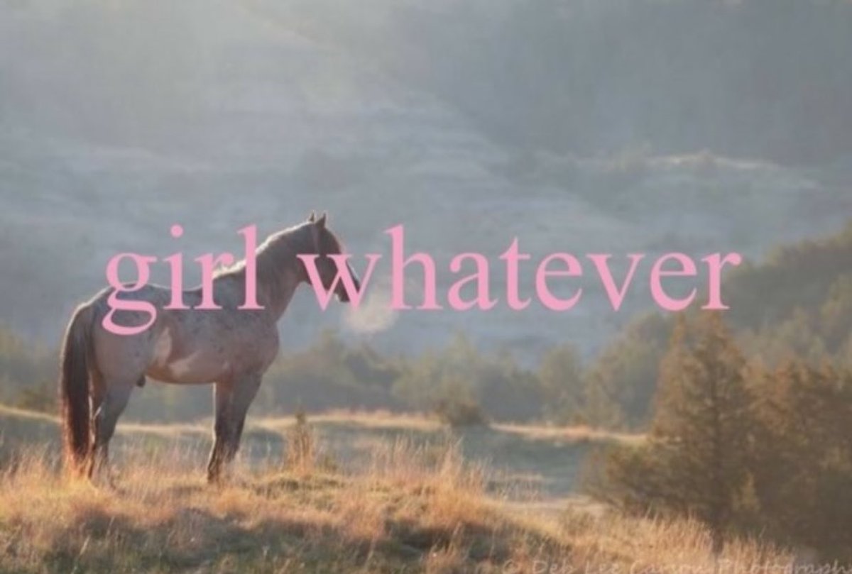 sometimes you’ve just gotta say