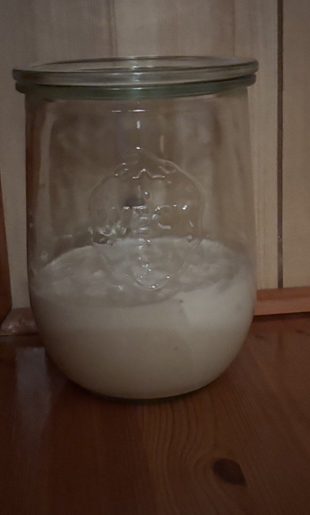 MophiaLVR's tweet image. Fed and upstairs where it's warm 
Alaskan Atlas 💪🏻
#sourdough