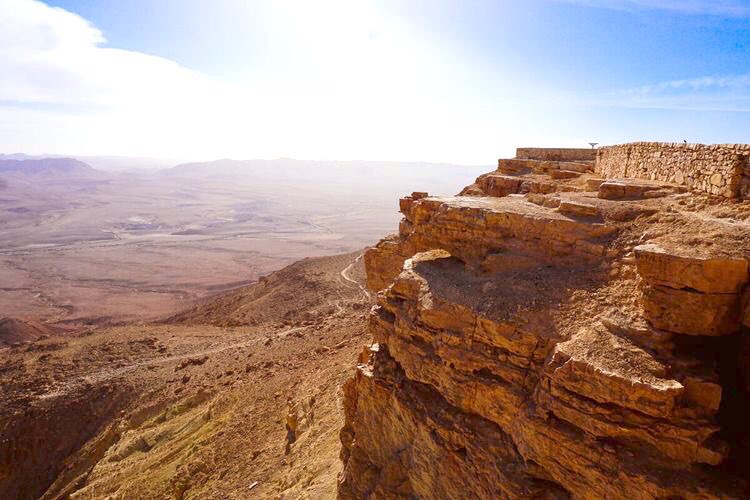 منيف الجراش tweet media