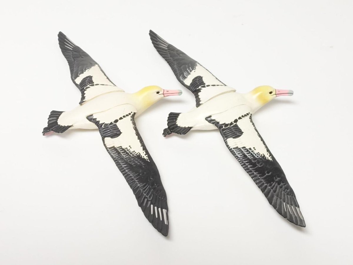 ネイチャーテクニカラー 小笠原 特装版 アホウドリ 空と海をシームレス