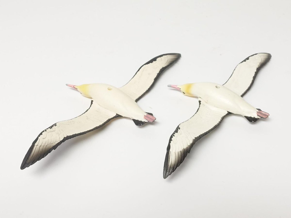 ネイチャーテクニカラー 小笠原 特装版 アホウドリ 空と海をシームレス