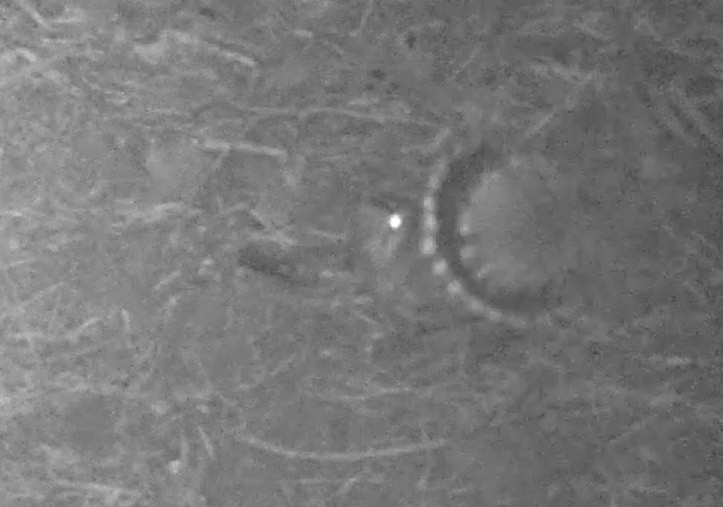 george hogg tweet media