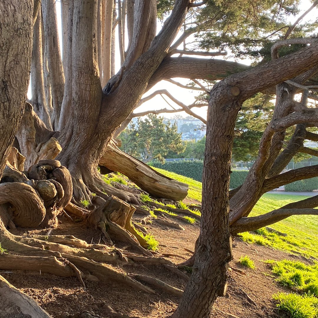 Terran Mott tweet media