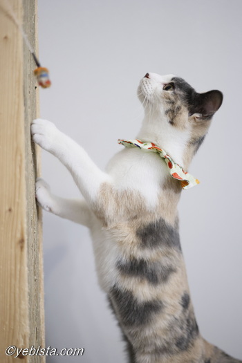 雷十太先生 (@asjSvnCZl18wKXM) / Posts / X