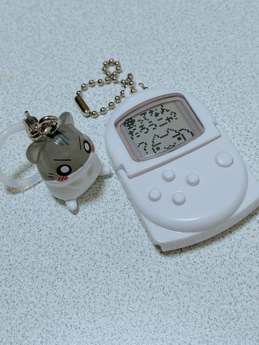 自殺電波 (@q9ewa) on Twitter photo 