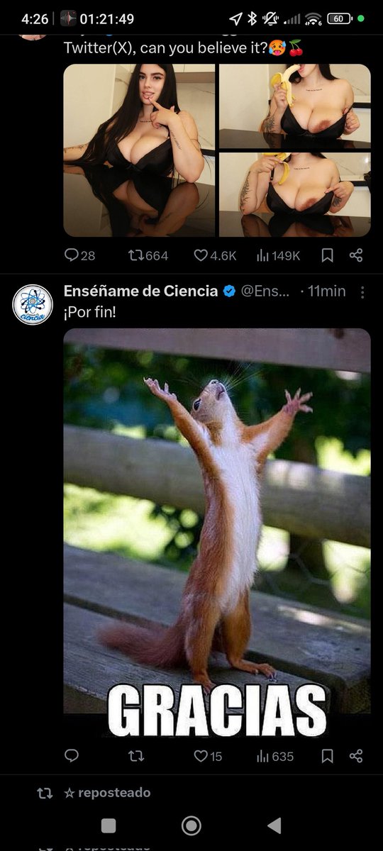 Eduardo Ferrera (@eduardo28842960) on Twitter photo 