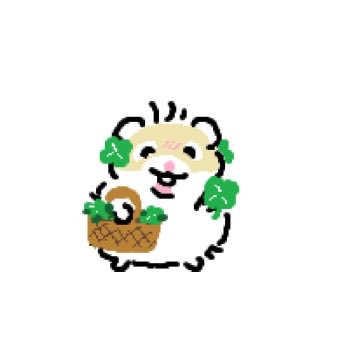 chichimon09's tweet image. 이 글 알티한 사람 모두 2월 내내 행운 만땅🍀