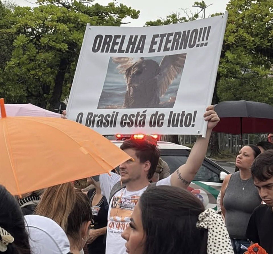 SRivoltril's tweet image. Essa imagem é de hoje. Não é encenação, não é print antigo, não é histeria de internet. É gente de carne e osso ocupando a rua porque um cachorro virou símbolo. Orelha não teve defesa, não teve segunda chance, não teve justiça rápida. Teve crueldade.