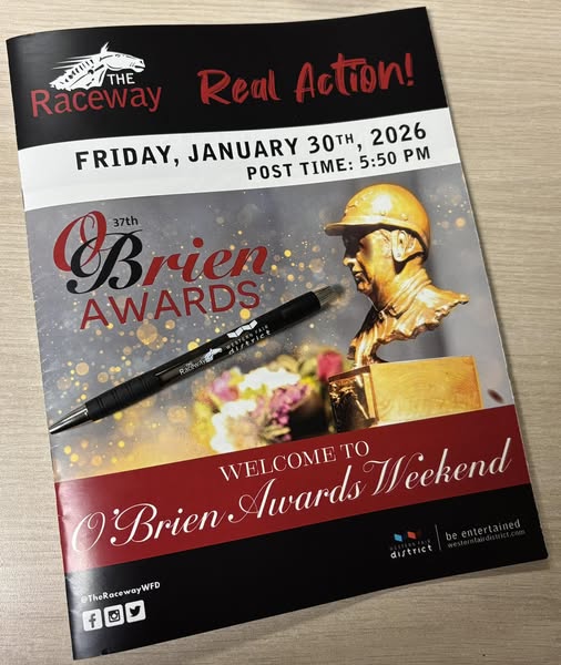 Shannon 'Sugar' Doyle tweet media