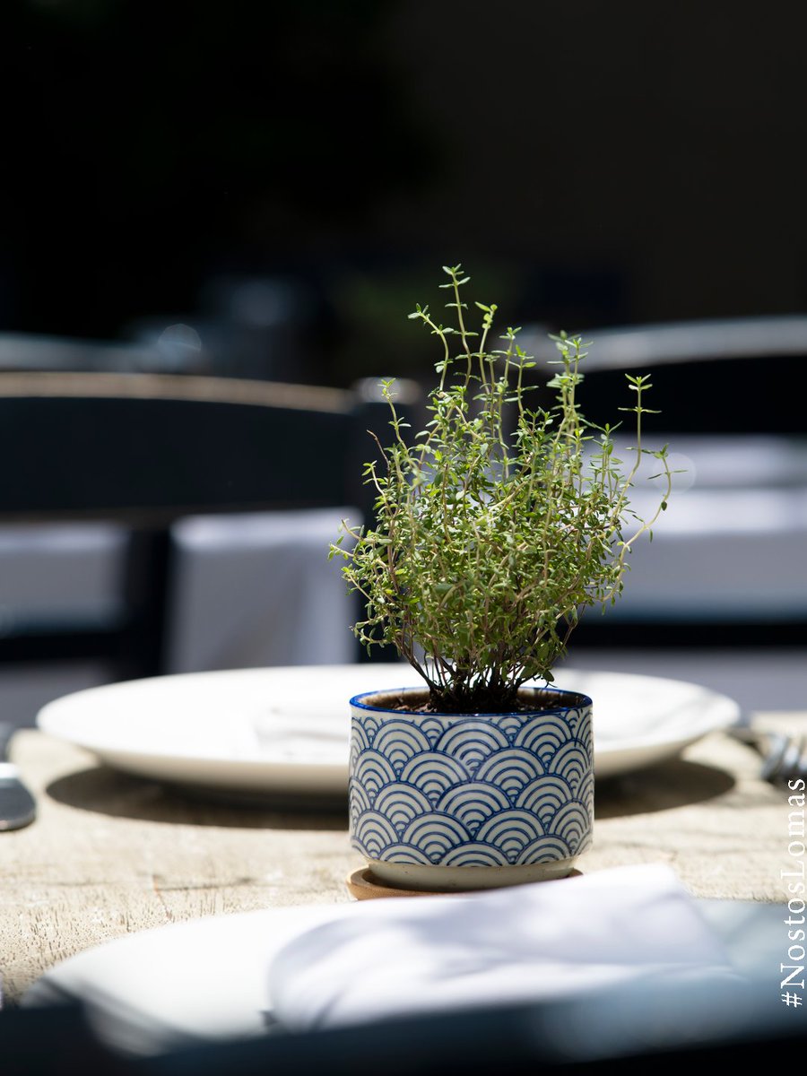 Al tomillo no le basta con aportar sabor en la cocina, también insiste en ser un festín para la vista en nuestras mesas 🪴

🏺 Nostos Lomas
Monte Athos 415, Lomas de Chapultepec
📲: 55 8438 1350

🧿 Nostos Artz Pedregal
Artz Pedregal, planta baja
📲: 55 5206 8115